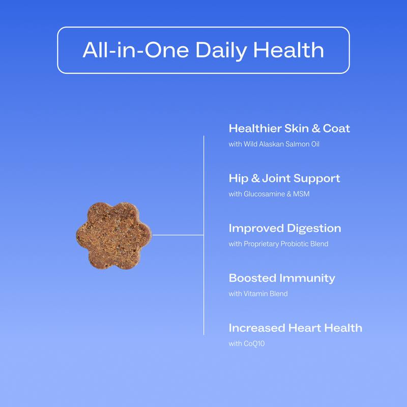 Dog Is Human Daily Multivitamin for Dogs (Beef Flavor) Vet-Formulated, Made in Vermont